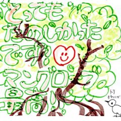 マングローブカヤックのご感想