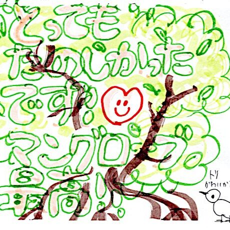 マングローブカヤックのご感想