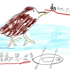 マングローブカヤックツアーのご感想