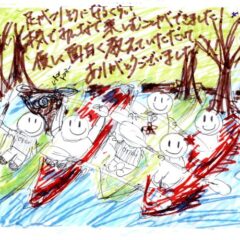 マングローブカヤックツアーのご感想