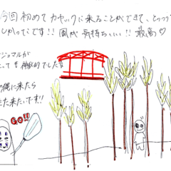 マングローブカヤックツアーのご感想