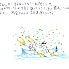 マングローブカヤックツアーのご感想