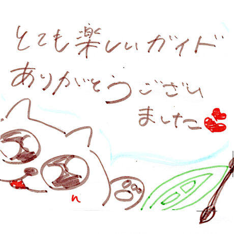 マングローブカヤックツアーのご感想