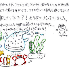 マングローブカヤックツアーのご感想