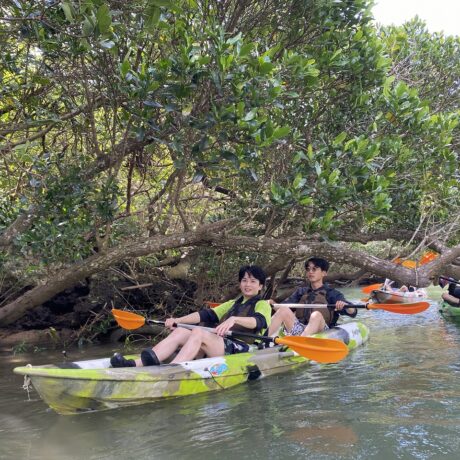マングローブカヤック