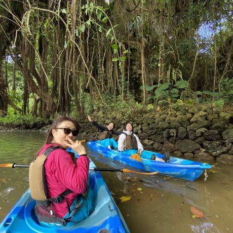 マングローブカヤック