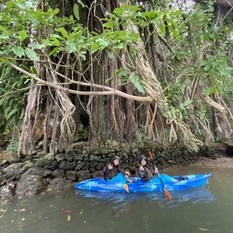 マングローブカヤック
