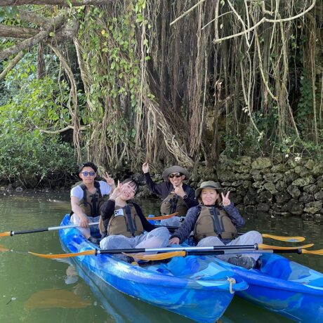 マングローブカヤック