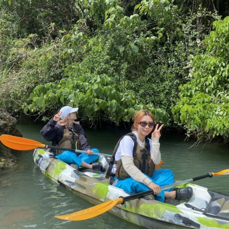 マングローブカヤック