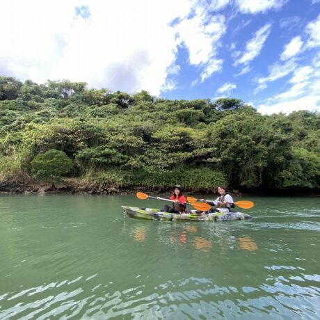 マングローブカヤック