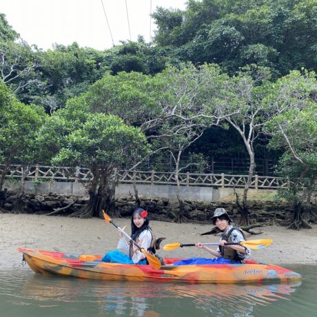 マングローブカヤックツアー