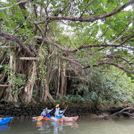 初めてのカヤック