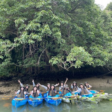 マングローブカヤック