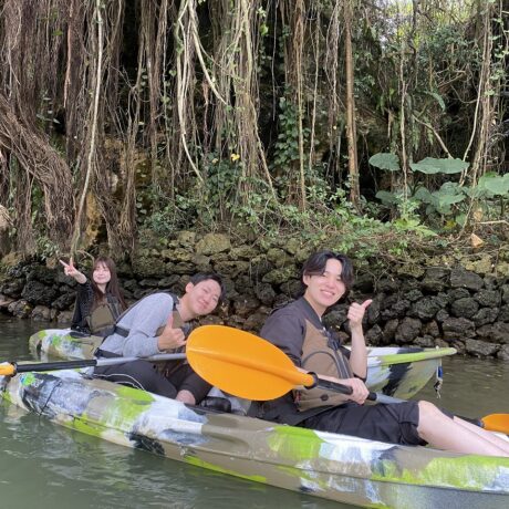 マングローブカヤック