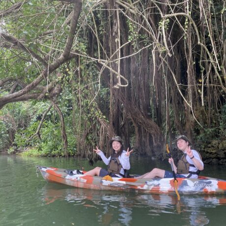 マングローブカヤック