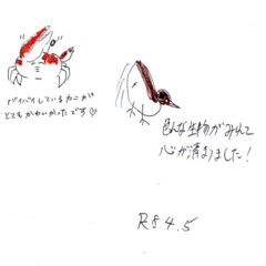 マングローブカヤックツアーのご感想