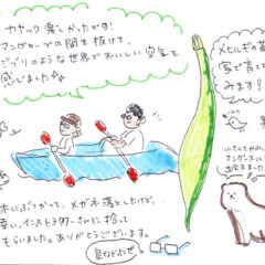 マングローブカヤックツアーのご感想