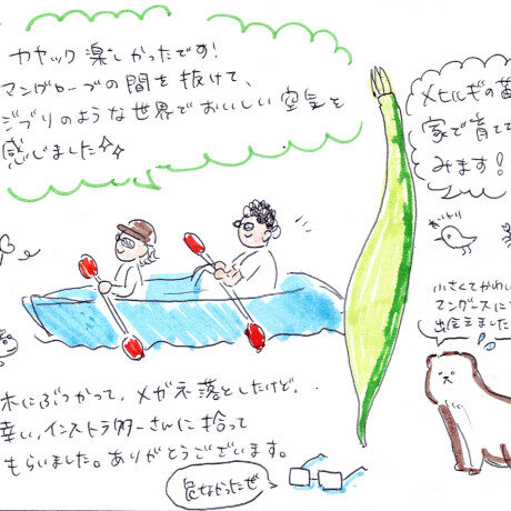 マングローブカヤックツアーのご感想