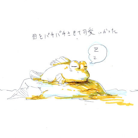 マングローブカヤックツアーのご感想