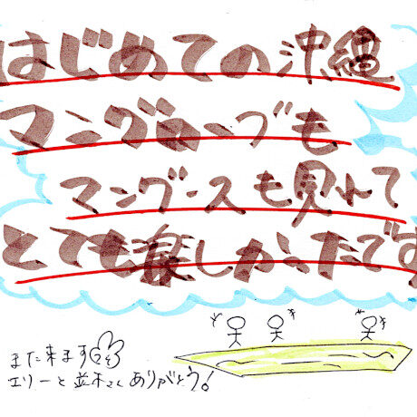 マングローブカヤックツアーのご感想