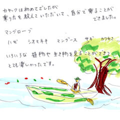 マングローブカヤックツアーのご感想