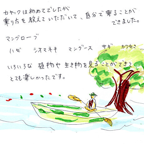 マングローブカヤックツアーのご感想