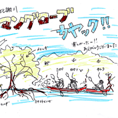 マングローブカヤックツアーのご感想