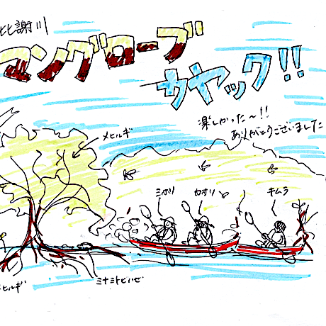 マングローブカヤックツアーのご感想