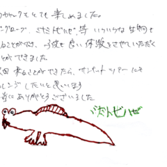 マングローブカヤックツアーのご感想