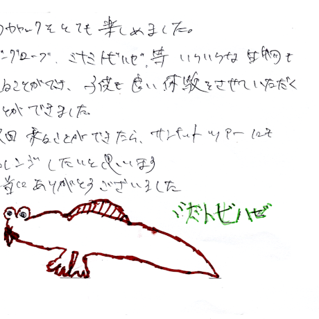 マングローブカヤックツアーのご感想