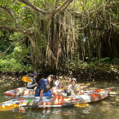 マングローブカヤック