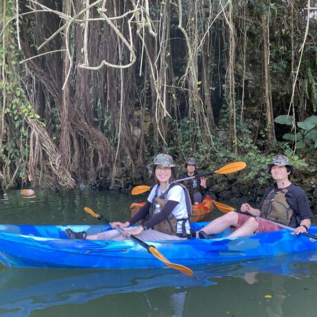 マングローブカヤック