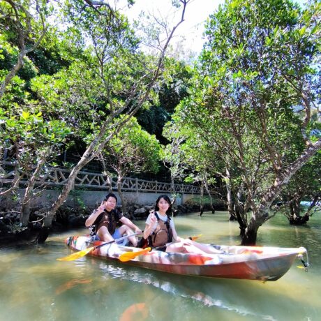 マングローブカヤック