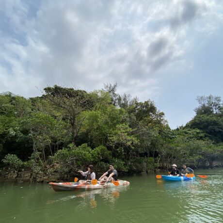 マングローブカヤック