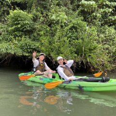 マングローブカヤックツアーのご感想