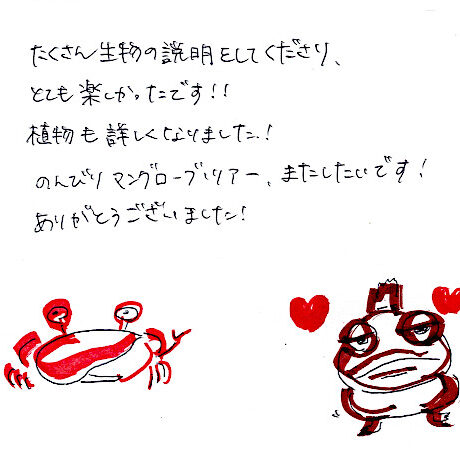 マングローブカヤックツアーのご感想