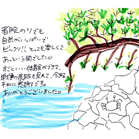マングローブカヤックツアーのご感想