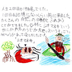マングローブカヤックツアーのご感想