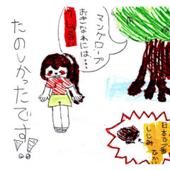 マングローブカヤックツアーのご感想