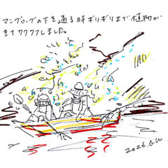 マングローブカヤックツアーのご感想