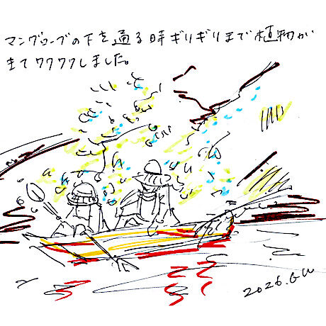 マングローブカヤックツアーのご感想