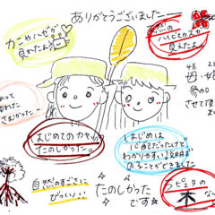 マングローブカヤックツアーのご感想