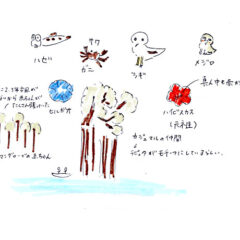 マングローブカヤックツアーのご感想