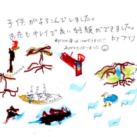 マングローブカヤックツアーのご感想
