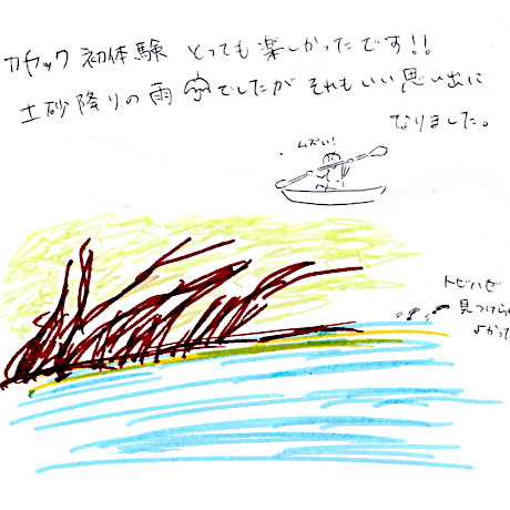 マングローブカヤックツアーのご感想