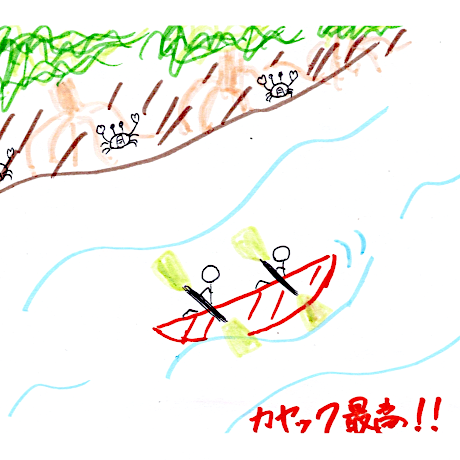 マングローブカヤックツアーのご感想