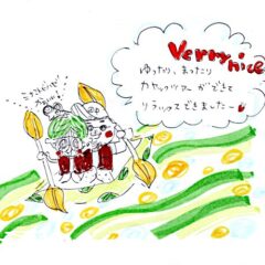 マングローブカヤックツアーのご感想
