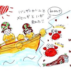 マングローブカヤックツアーのご感想