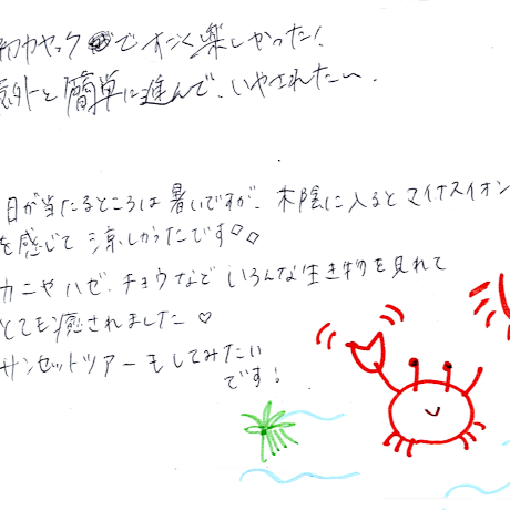 マングローブカヤックツアーのご感想