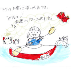 マングローブカヤックツアーのご感想